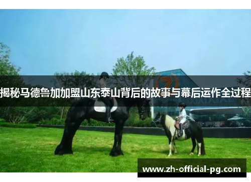 揭秘马德鲁加加盟山东泰山背后的故事与幕后运作全过程
