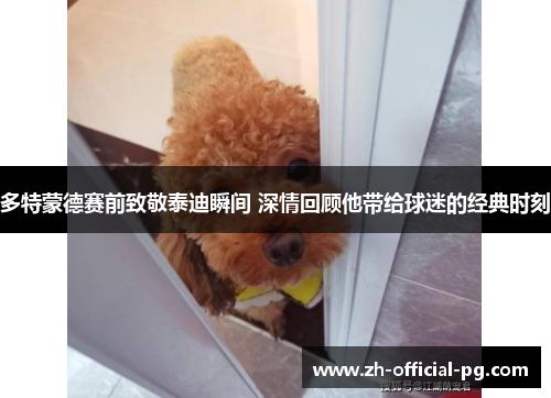 多特蒙德赛前致敬泰迪瞬间 深情回顾他带给球迷的经典时刻