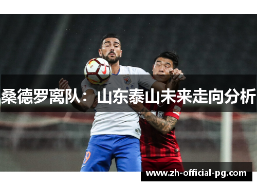 桑德罗离队：山东泰山未来走向分析