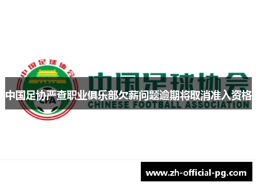 中国足协严查职业俱乐部欠薪问题逾期将取消准入资格